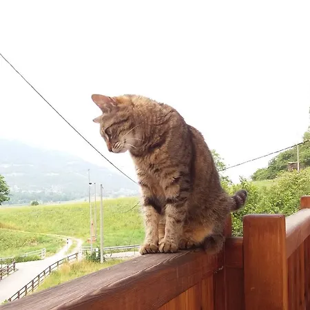 Au Coeur 3* Verrayes