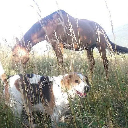 Pensjonat Au Coeur 3*