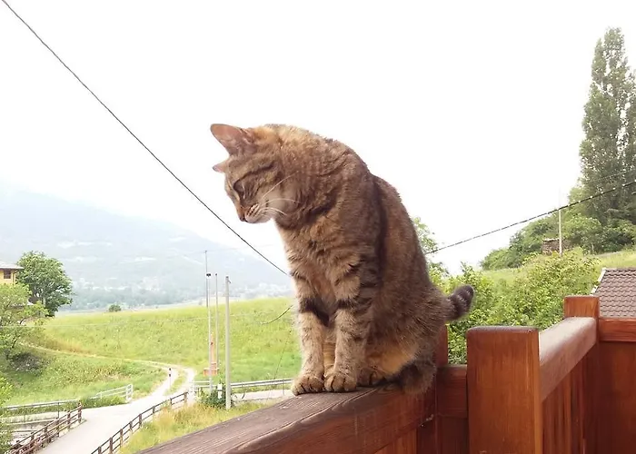 Au Coeur 3* Verrayes