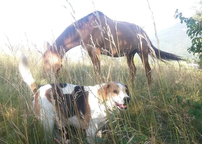 בית הארחה Au Coeur 3*